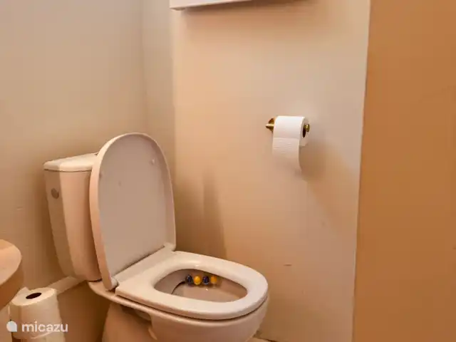 toilet